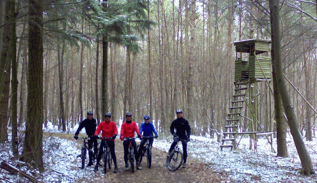 Winterstimmung im Wald bei Hof Steinbach