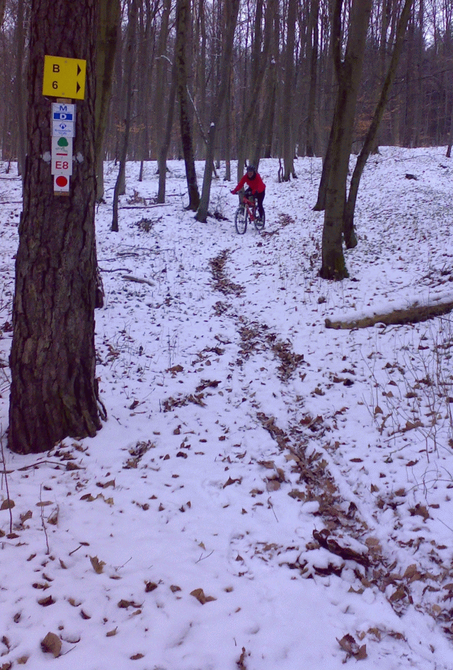 MiGs Snowtrail